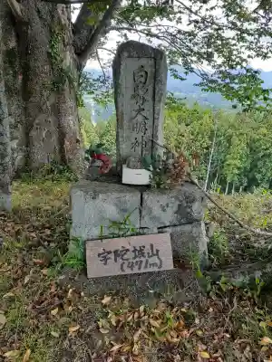 白髭大明神(奈良県)