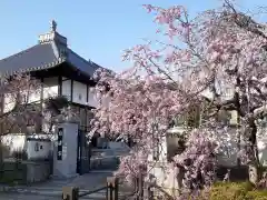 たつの市　常照寺の自然