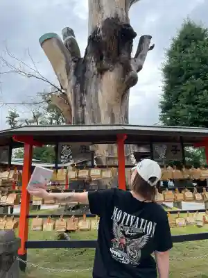 上野総社神社(群馬県)