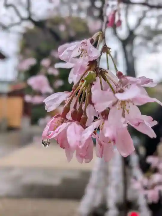 馬橋稲荷神社(東京都)