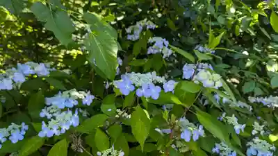 日體寺(京都府)