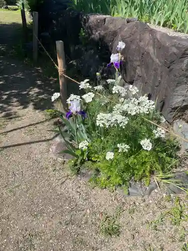 金剛寺(奈良県)