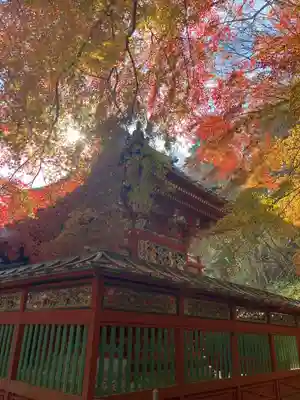 高尾山薬王院の本殿・本堂