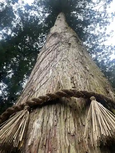 御岩神社(茨城県)