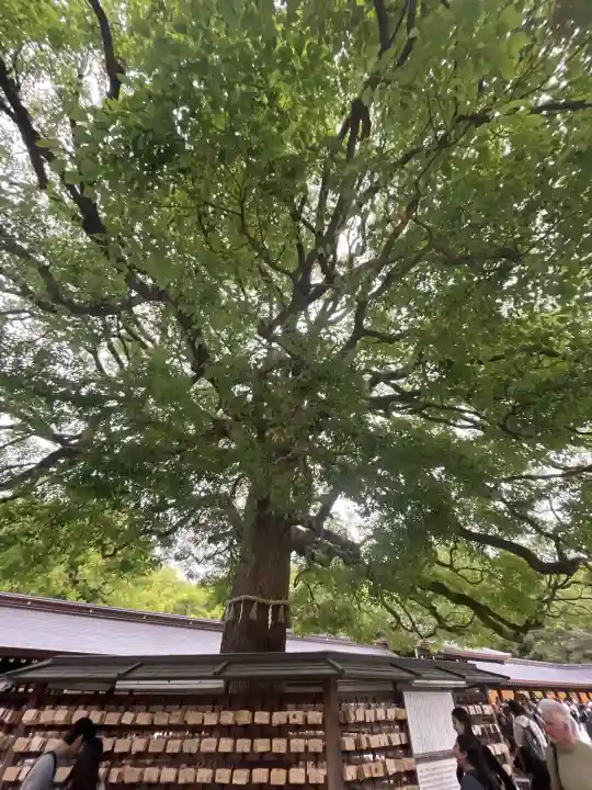 明治神宮(東京都)