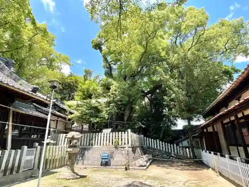 七所神社(愛知県)