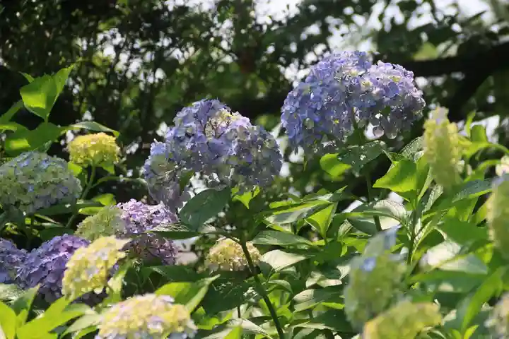 開成山大神宮の庭園