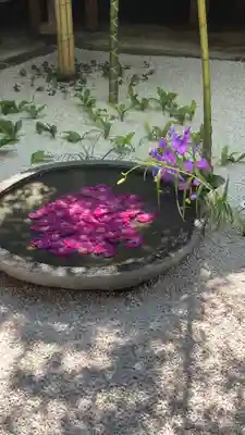 西来院(京都府)