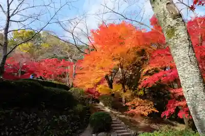 勝持寺（花の寺）(京都府)
