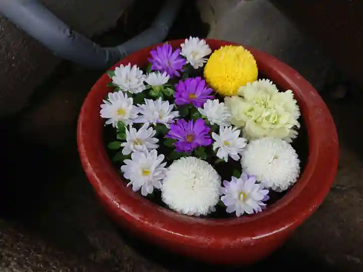 菅生神社の手水舎