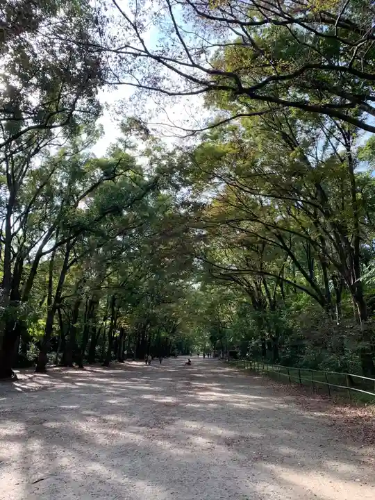 賀茂御祖神社(下鴨神社)の自然