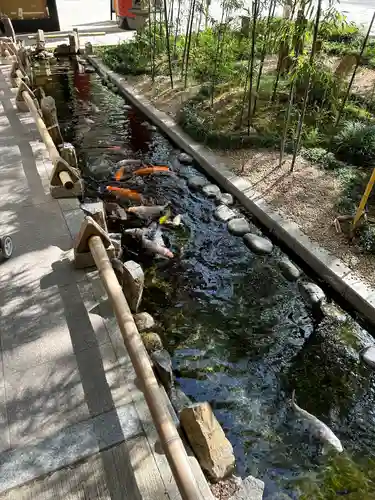 秩父神社の動物
