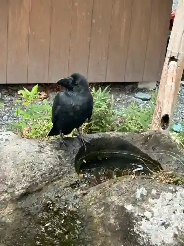 大洗磯前神社(茨城県)