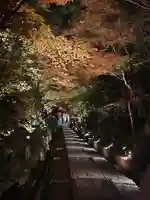 高台寺(高台寿聖禅寺・高臺寺)(京都府)