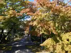 行心院(愛知県)