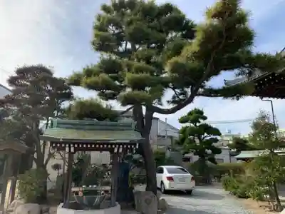 宝蔵寺の手水舎