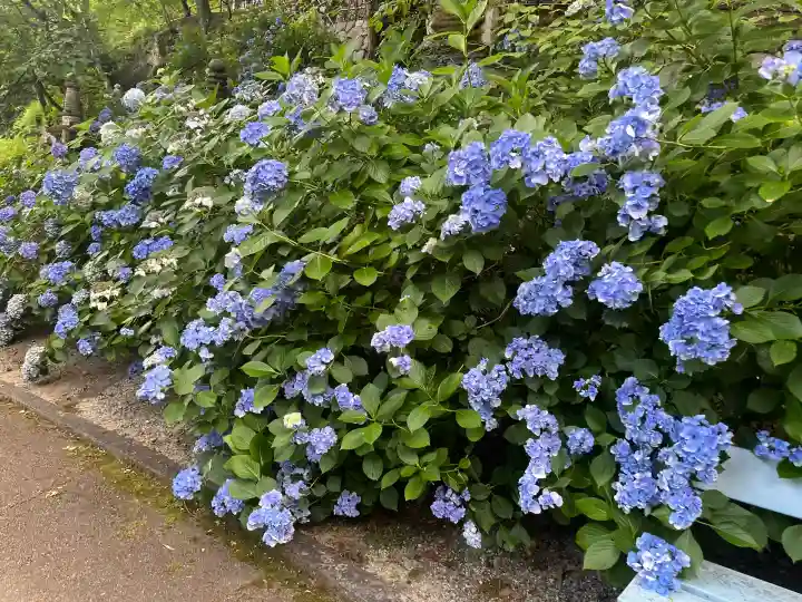 長谷寺(奈良県)