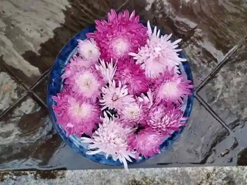 立志神社の手水舎