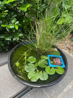 五十稲荷神社(栄寿稲荷神社)(東京都)