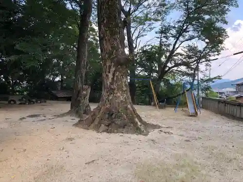 長柄神社の自然