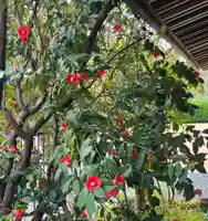 出雲大社倉敷教会(岡山県)