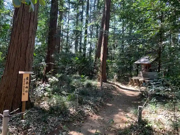 三ケ尻八幡神社(埼玉県)
