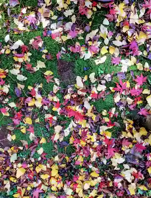 本土寺のその他建物