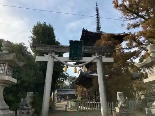 春日若宮神社(奈良県)