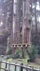 御岩神社の自然