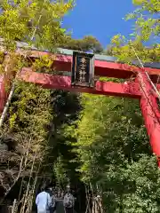 來宮神社の鳥居