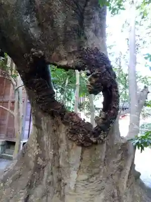 大野湊神社(石川県)