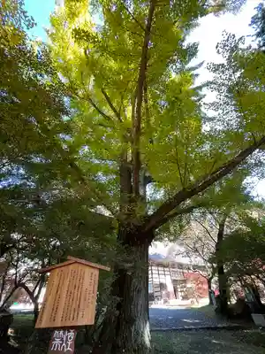 霊松寺(長野県)