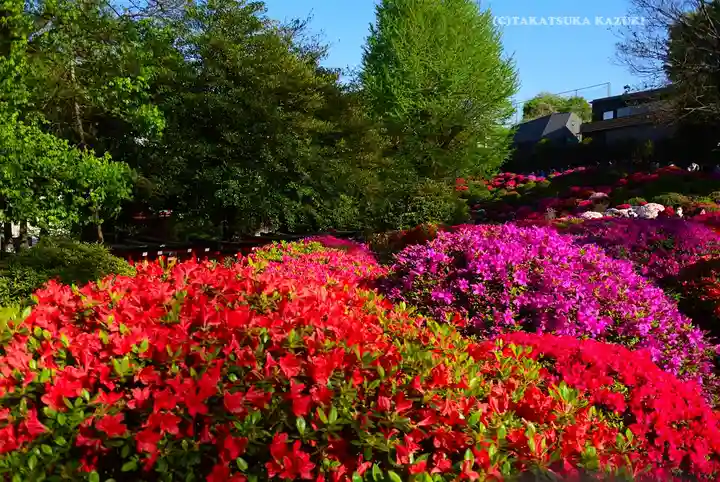 根津神社(東京都)