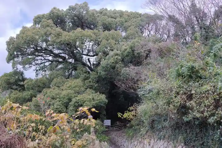 大山祇神社奥の院 生樹の御門(愛媛県)
