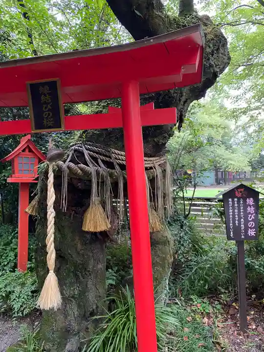 冠稲荷神社(群馬県)
