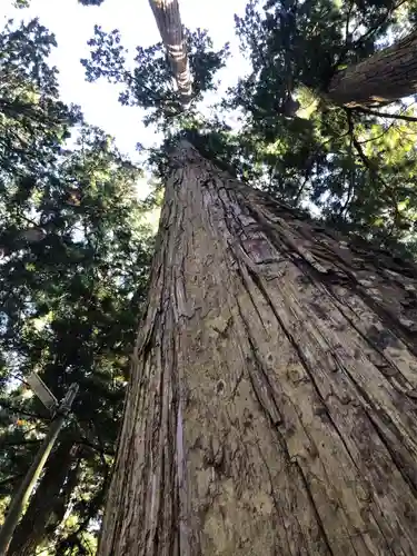 高野山金剛峯寺奥の院(和歌山県)