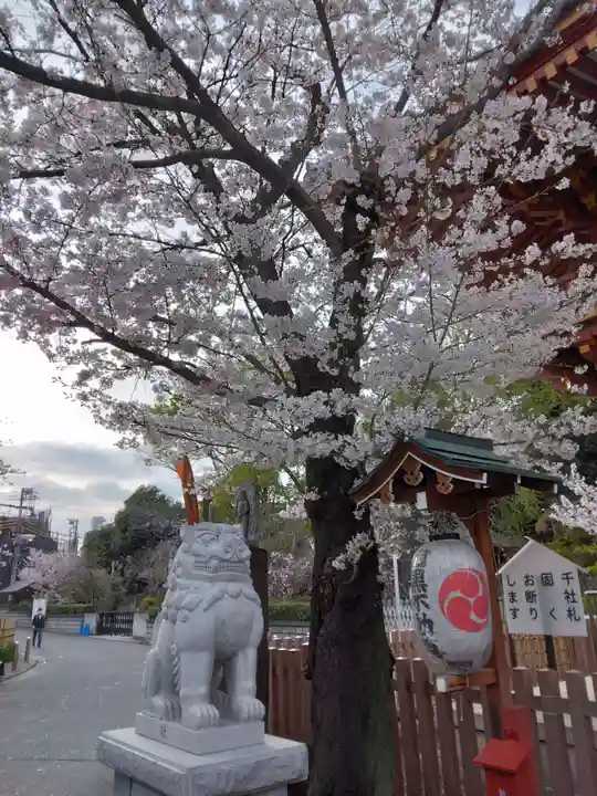 瀧泉寺(目黒不動尊)(東京都)