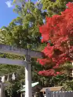 花岡神社の自然