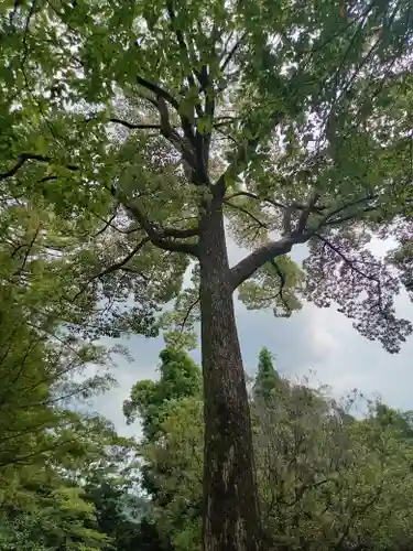 隨心院（随心院）(京都府)