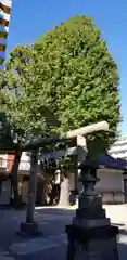 北野神社の鳥居