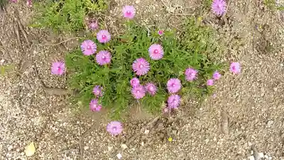 比佐豆知神社(三重県)