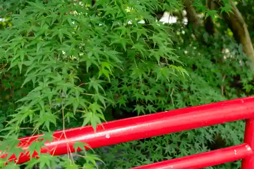越中一宮 髙瀬神社(富山県)