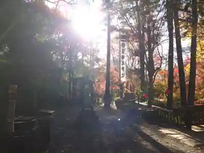 山賊魂稲成神社(山口県)