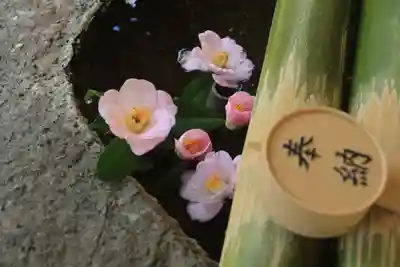 鹿島大神宮の手水舎