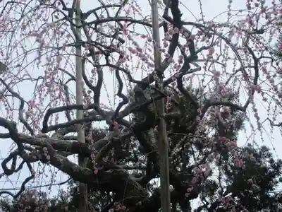 宝戒寺(神奈川県)