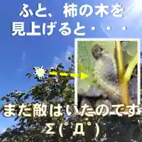 七重浜海津見神社の自然