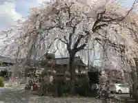 勝泉寺(三重県)