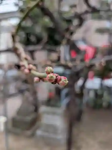 久富稲荷神社(東京都)