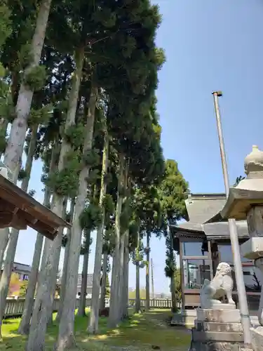 加茂神社の自然