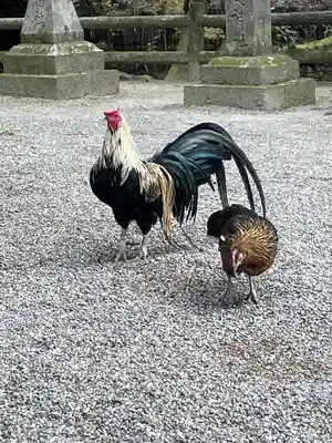 石上神宮(奈良県)